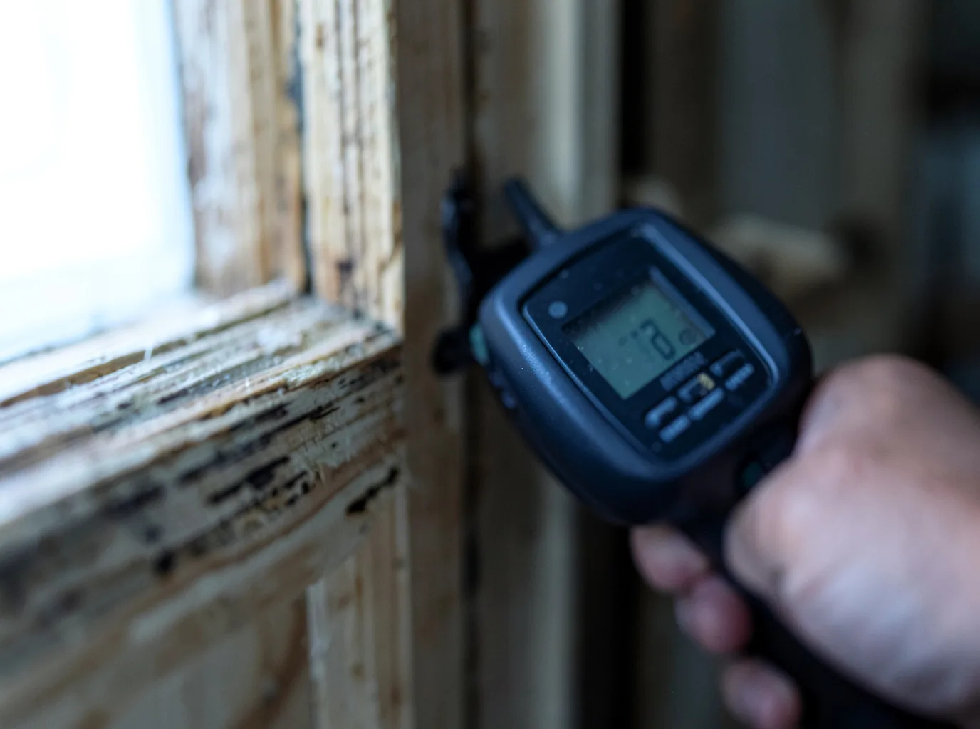 Ceiling Water Damage Repair in Mountlake Terrace, WA